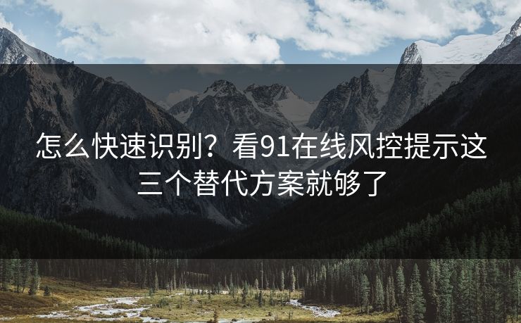 怎么快速识别？看91在线风控提示这三个替代方案就够了